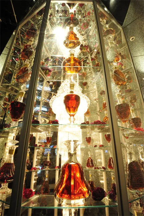 TOP DANDYの店内・ホスト写真_9