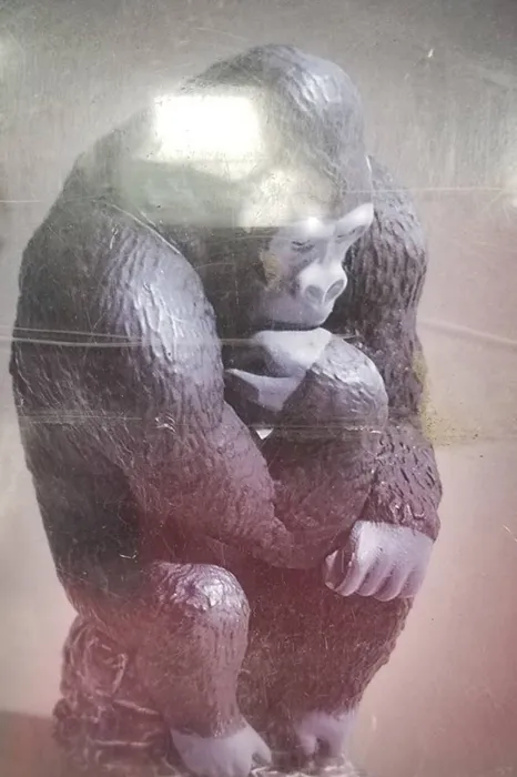 運営Bの写真 - SINCE YOU...αのイケメンホスト