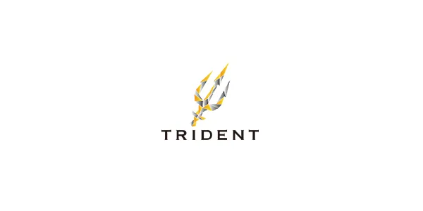 TRIDENTの店内・ホスト写真_0