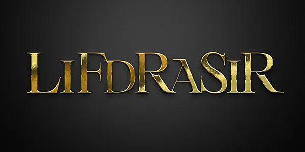 LIFDRASIRの店内・ホスト写真_0